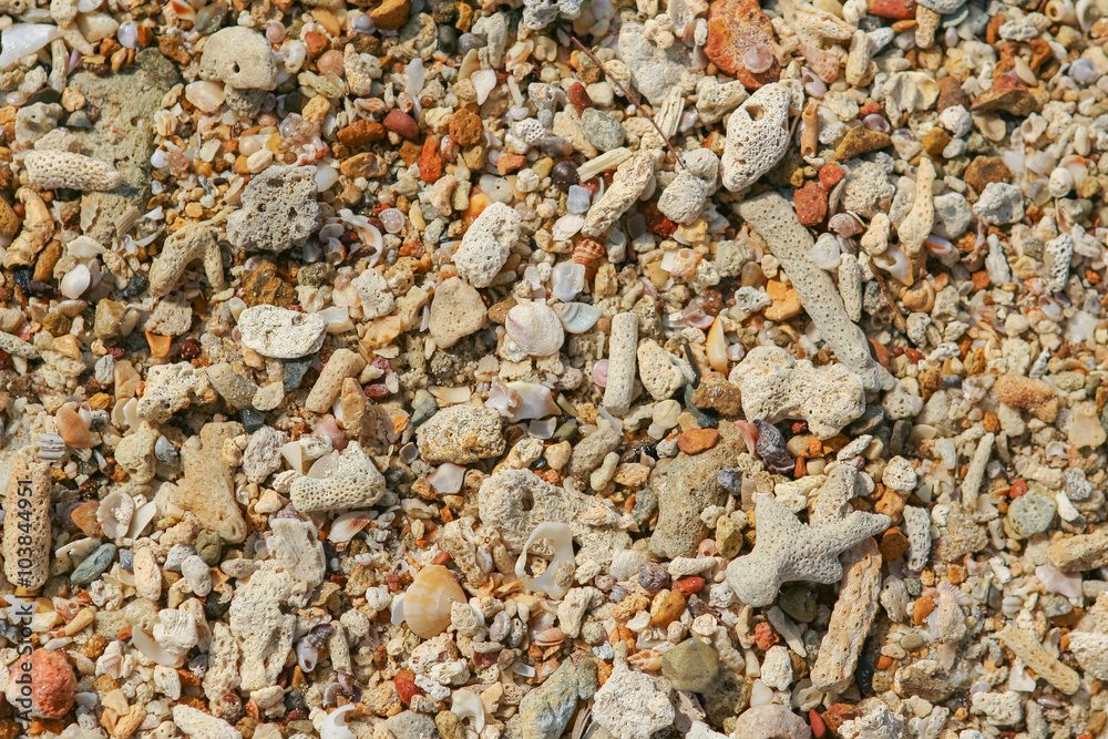 Sea sand texture made of shell and stone pieces. Sea sand texture made of shell and stone pieces.