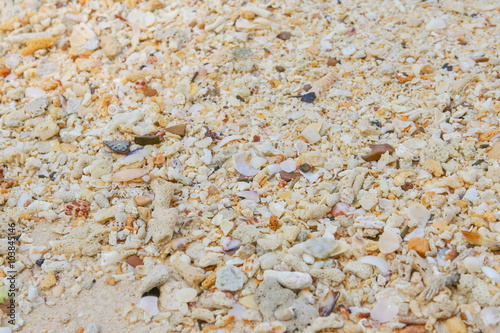 Sea sand texture made of shell and stone pieces.