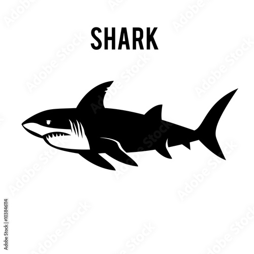 Great white shark sign logo on a white background.