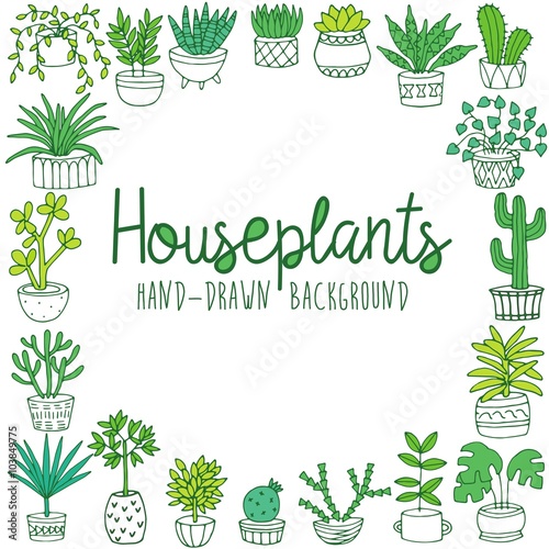 Hand drawn houseplant banner