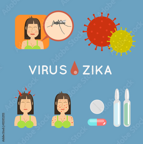 Virus zika vector illustration. Mosquito infected with zika viru