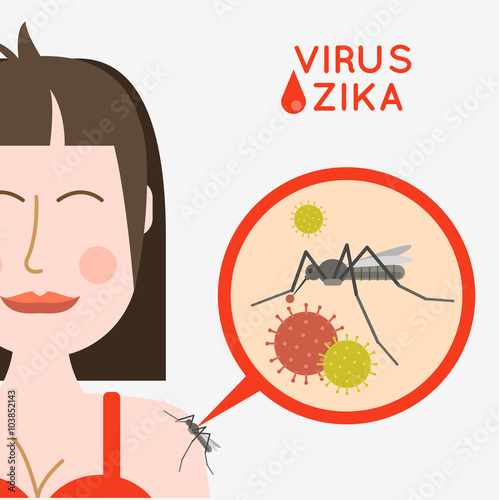 Virus zika vector illustration. Mosquito infected with zika viru