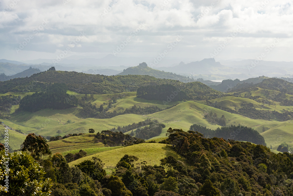 Obraz premium Landscape of Northland - St Paul's Rock in a mist, New Zealand