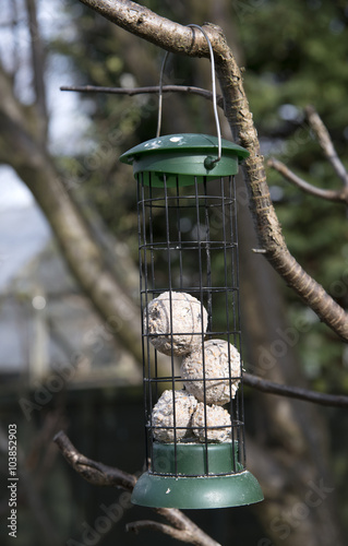 Fat ball feeder for birds hanging in a rural garden © petert2