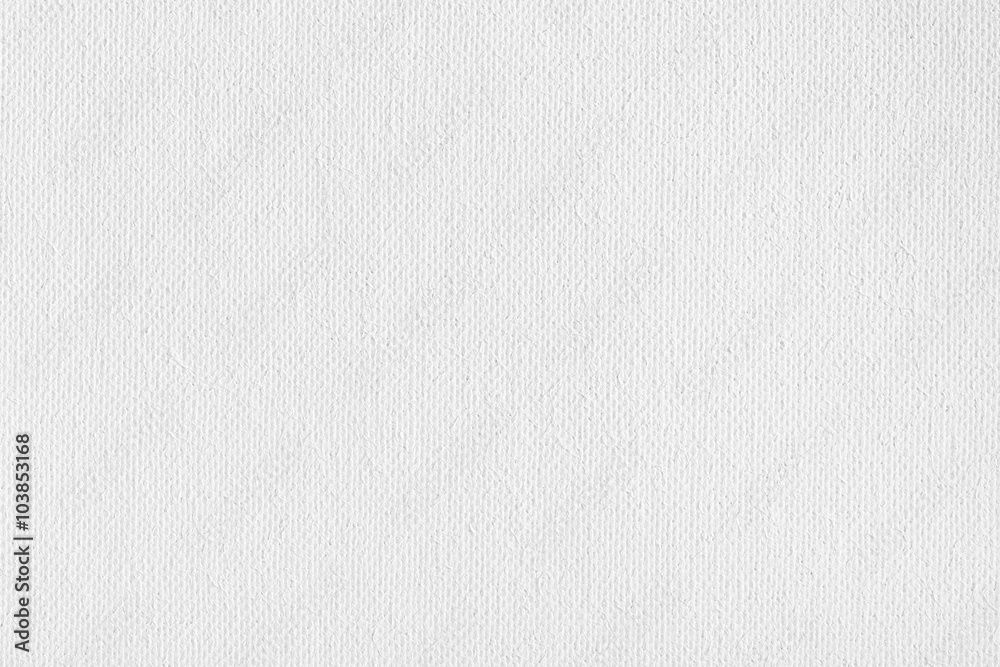 White canvas texture. White canvas texture.
