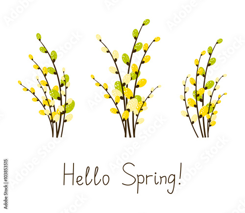 Set of pussy-willow bouquets isolated on white 