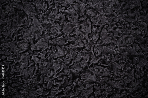 karakul wool with vignette