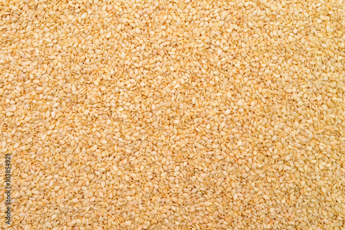 sesame seed texture