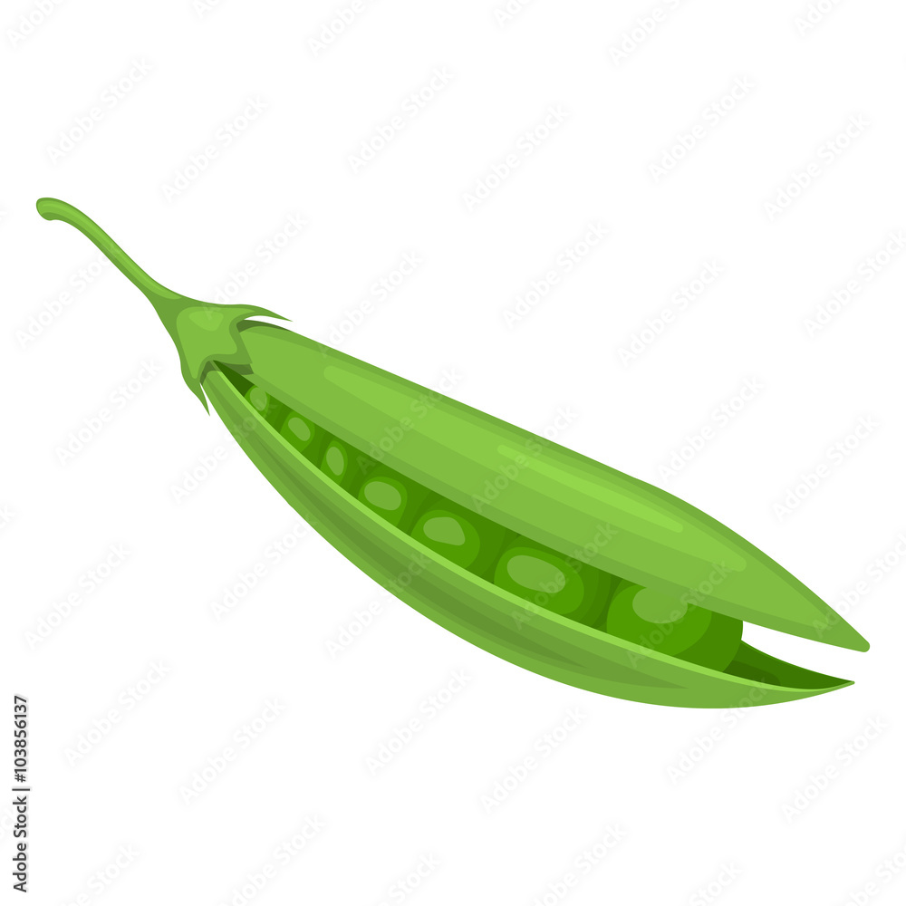 Vector illustration of peas Vector illustration of peas