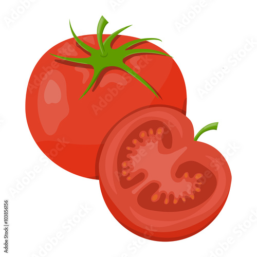 Vector illustration of tomatoes