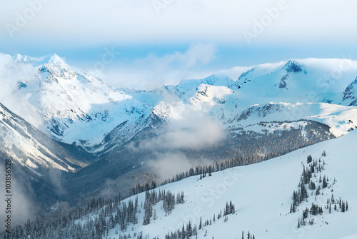 Winter fir trees in mountains © Pavlo Vakhrushev