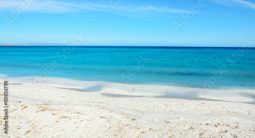 blue sea under a clear sky in Stintino