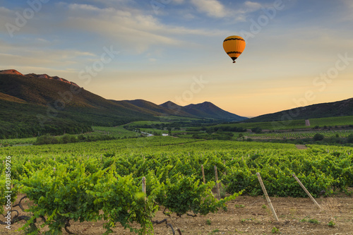 Flying hot air balloon over the mountains and vineyards. 