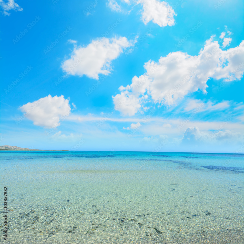 white clouds over La Pelosa beach white clouds over La Pelosa beach