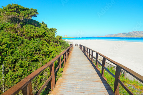 wooden walk path to the beach