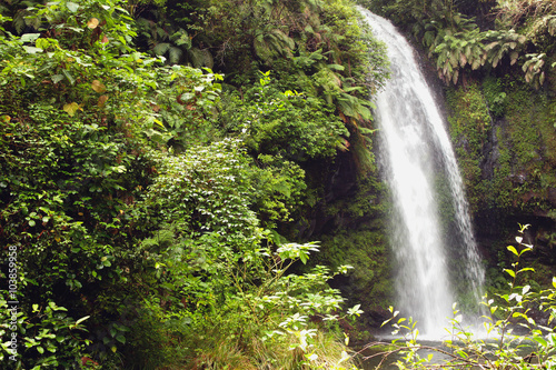 Wood and Sacred falls, Amber Mountains park, Madagascar
