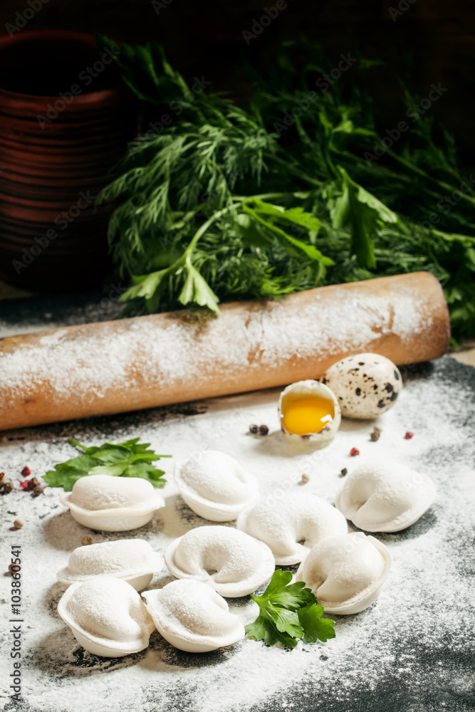 Fototapeta premium Traditional Russian meat dumplings, cooking illustration, select