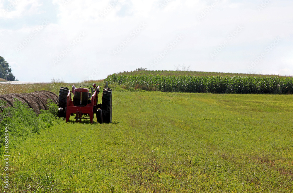 Obraz premium Farm Tractor in field