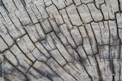 Macro wet wood texture on old city pavement