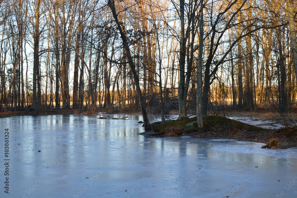 Frozen pond landscape Frozen pond landscape