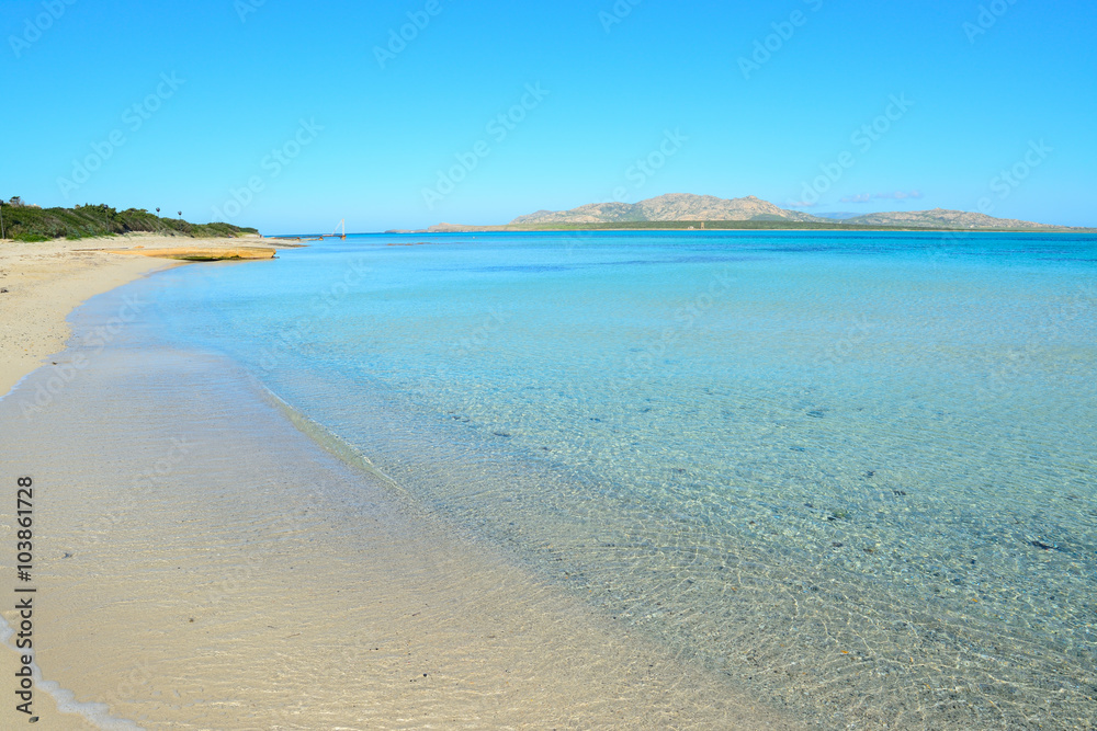 blue sea in Stintino shore
