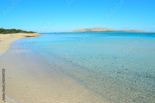 blue sea in Stintino shore