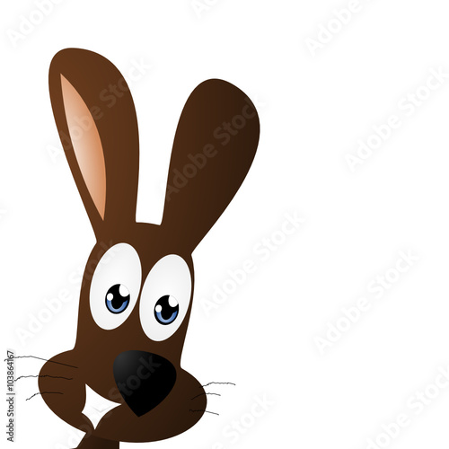 Hase