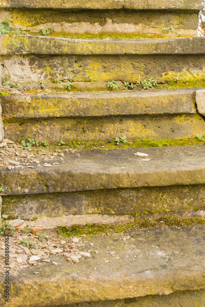 Old Mossy Stairs, with selective focus and copy space Old Mossy Stairs, with selective focus and copy space