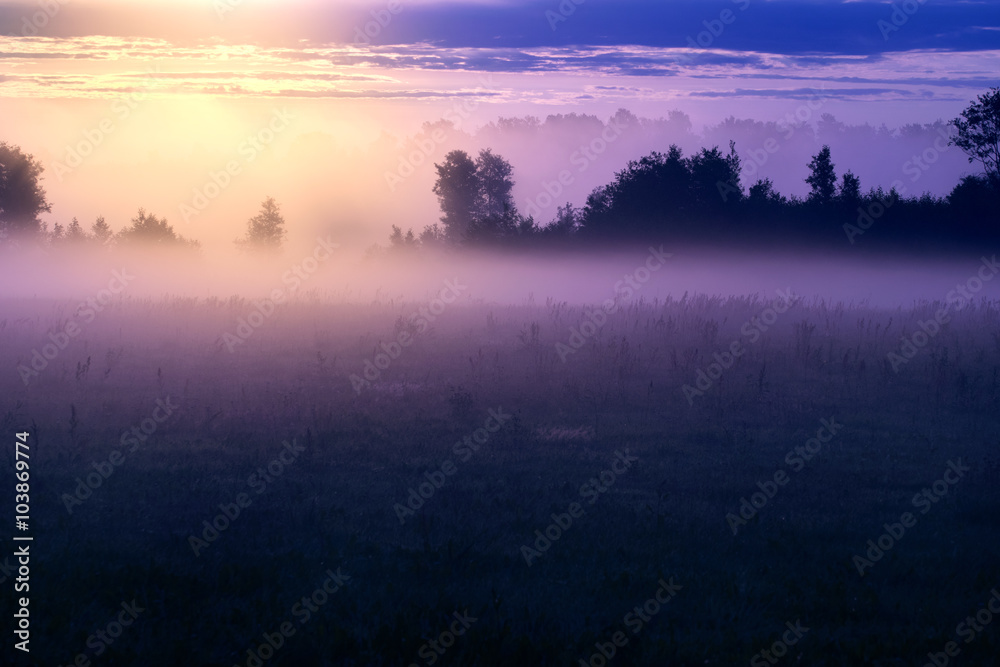 Picturesque misty sunrise landscape. Foggy morning meadow,