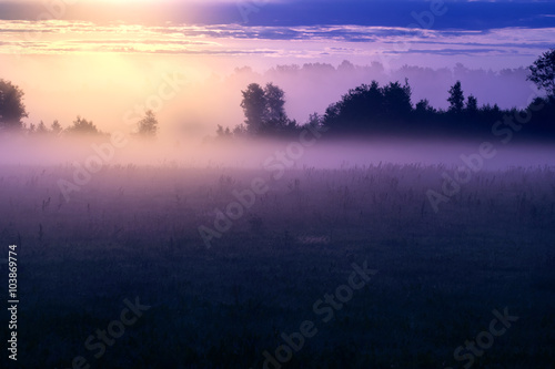 Picturesque misty sunrise landscape. Foggy morning meadow,