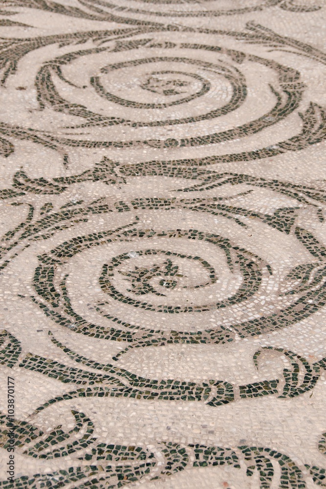 Closeup of Roman mosaic floor detail in an ancient bathhouse