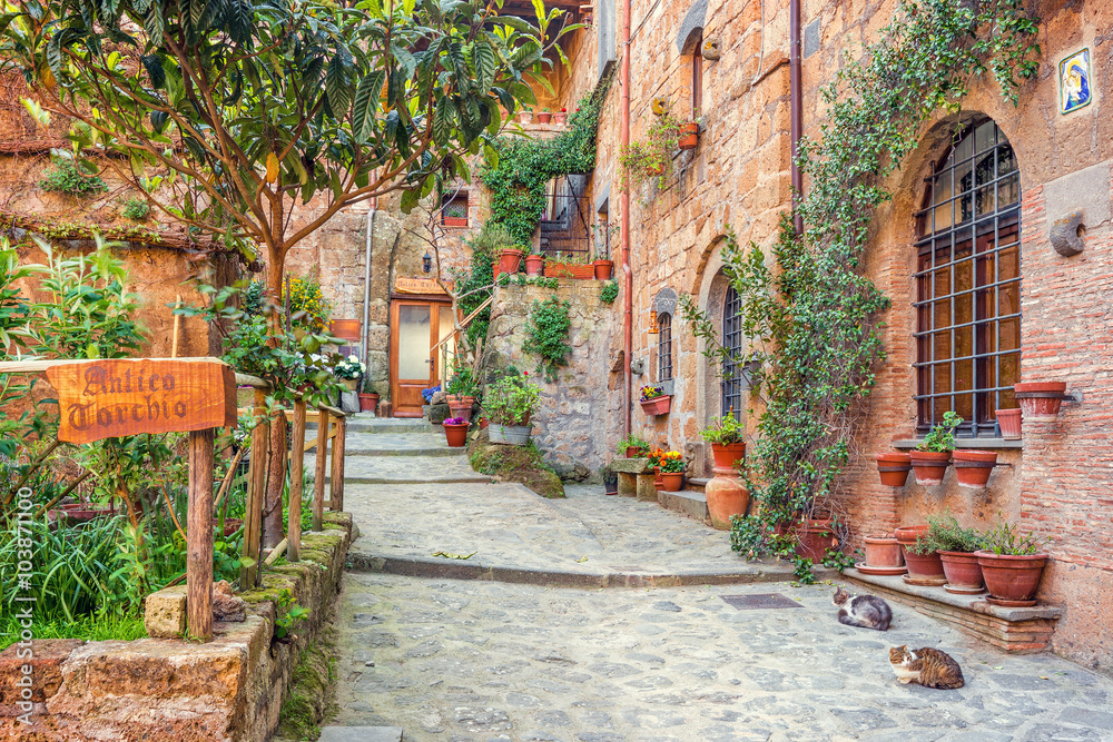Old town Tuscany Italy - obrazy, fototapety, plakaty 