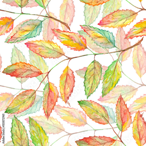 Watercolor rowan ashberry leaf branch botanical seamless pattern