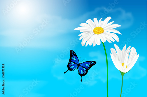 Fototapeta Naklejka Na Ścianę i Meble -  Daisy flowers and butterfly against blue sky