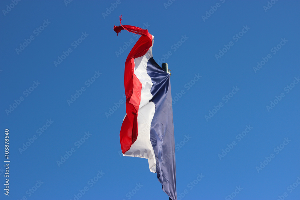Obraz premium French Flag
