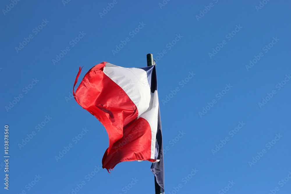 Obraz premium French Flag