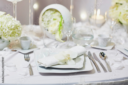 Beautidul table set for wedding reception © Ekaterina Pokrovsky