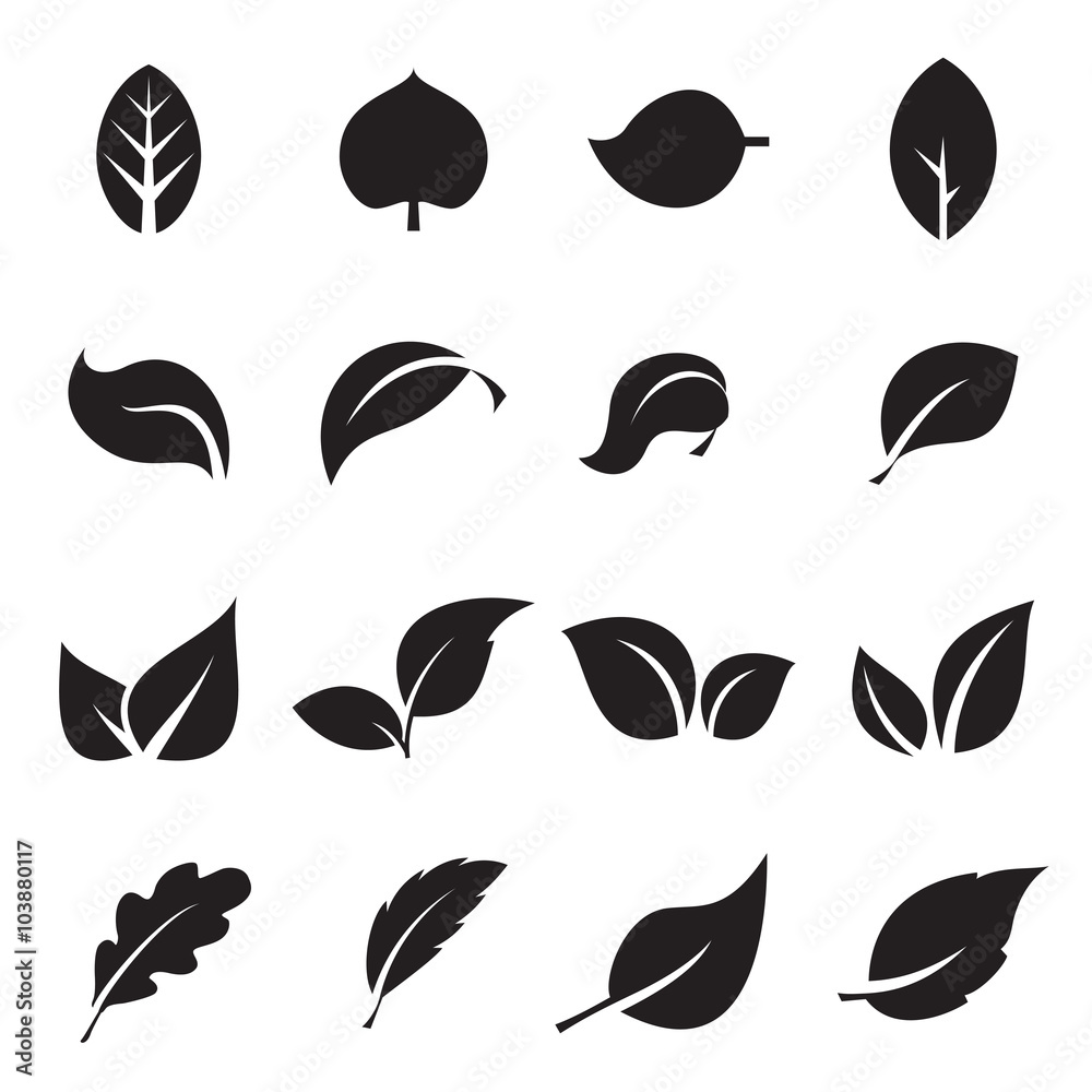 Collection of leaf icons. Black icons isolated on a white background ...
