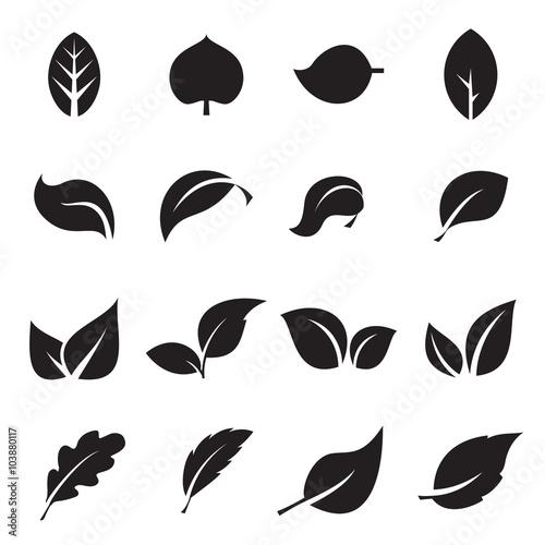 Collection of leaf icons. Black icons isolated on a white background. Vector illustration