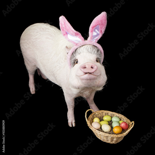 Funny Pig Easter Bunny With Basket