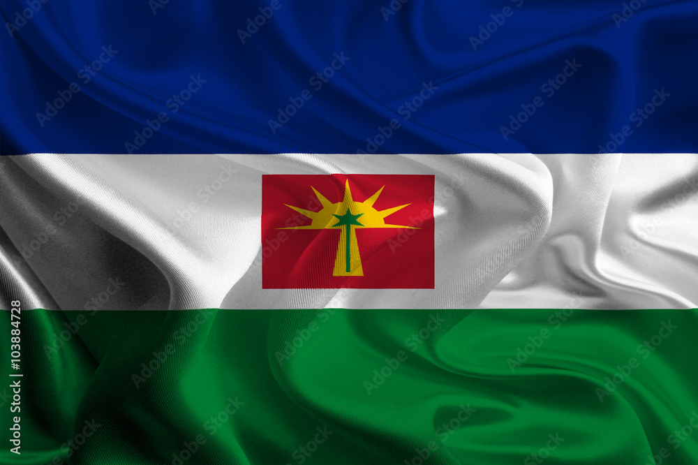 Obraz premium Flags of Barinas State, Venezuela