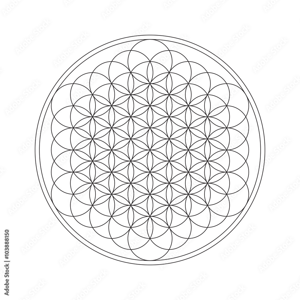 Flower of life. Sacred geometry. Flower of life. Sacred geometry.