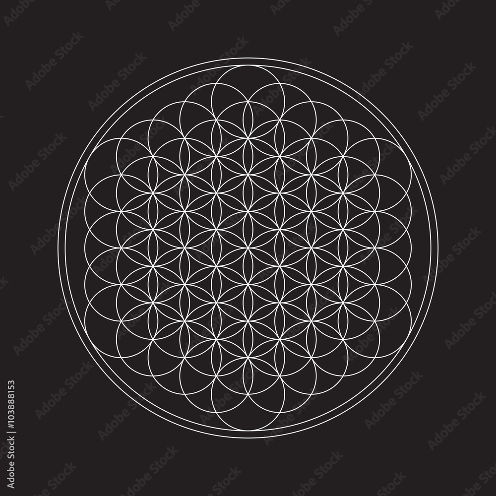 Flower of life. Sacred geometry. Flower of life. Sacred geometry.