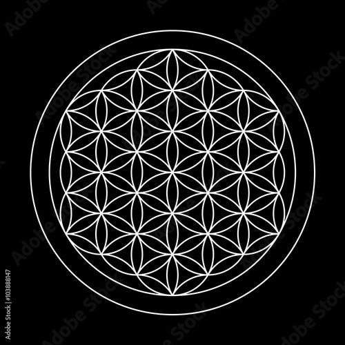 Flower of life. Sacred geometry.