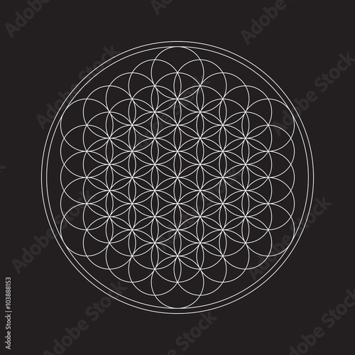 Flower of life. Sacred geometry. photo