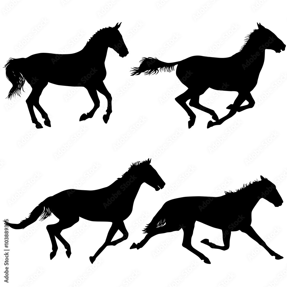 Set  silhouette of black mustang horse vector illustration