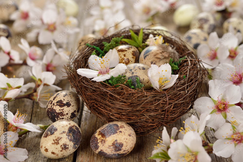 Easter eggs in the nest Easter eggs in the nest