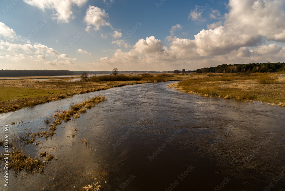 Rzeka Narew Rzeka Narew
