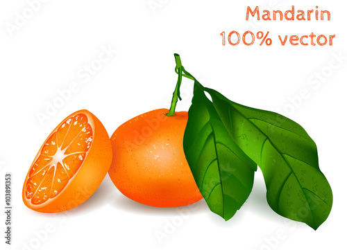 Fresh mandarin with green leaves. Vector illustration.