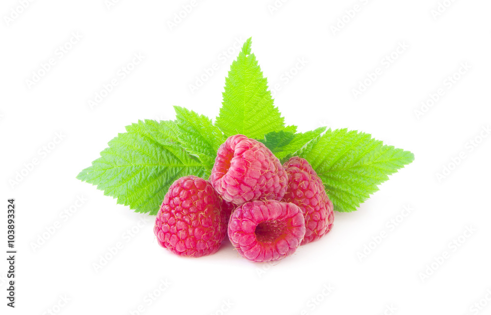 ripe raspberries isolated on white background ripe raspberries isolated on white background
